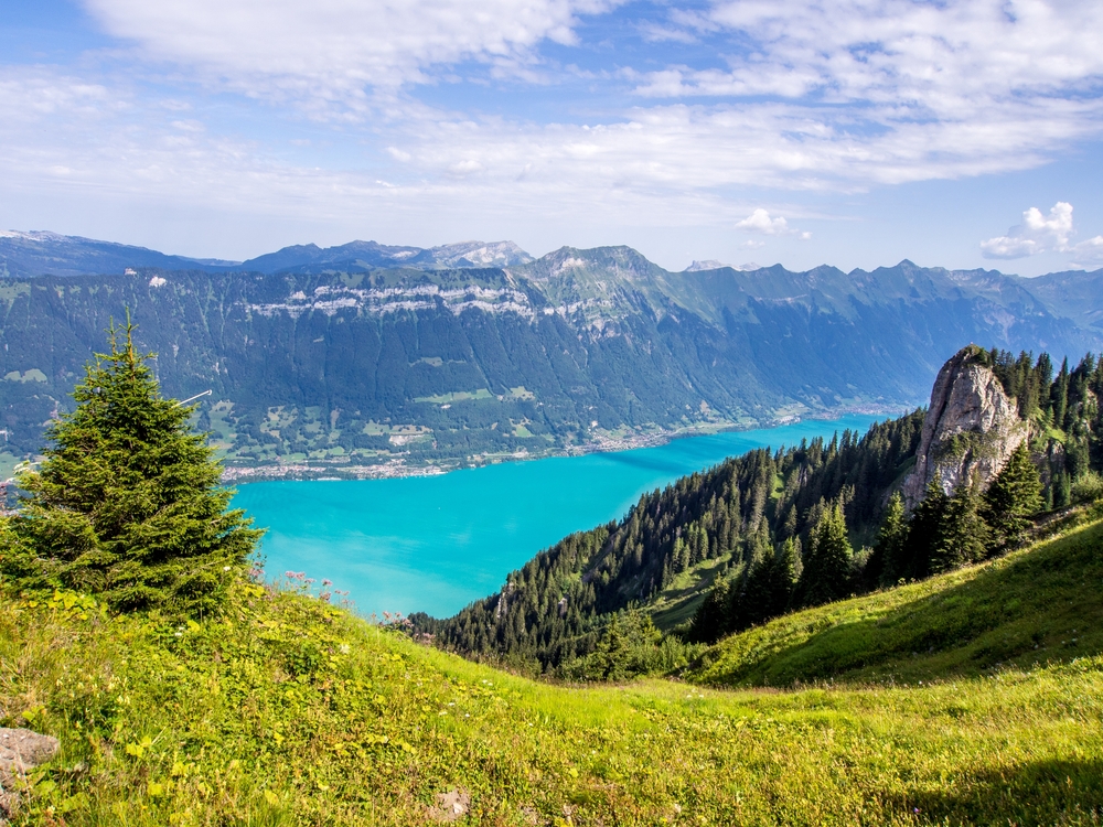 Brienzersee